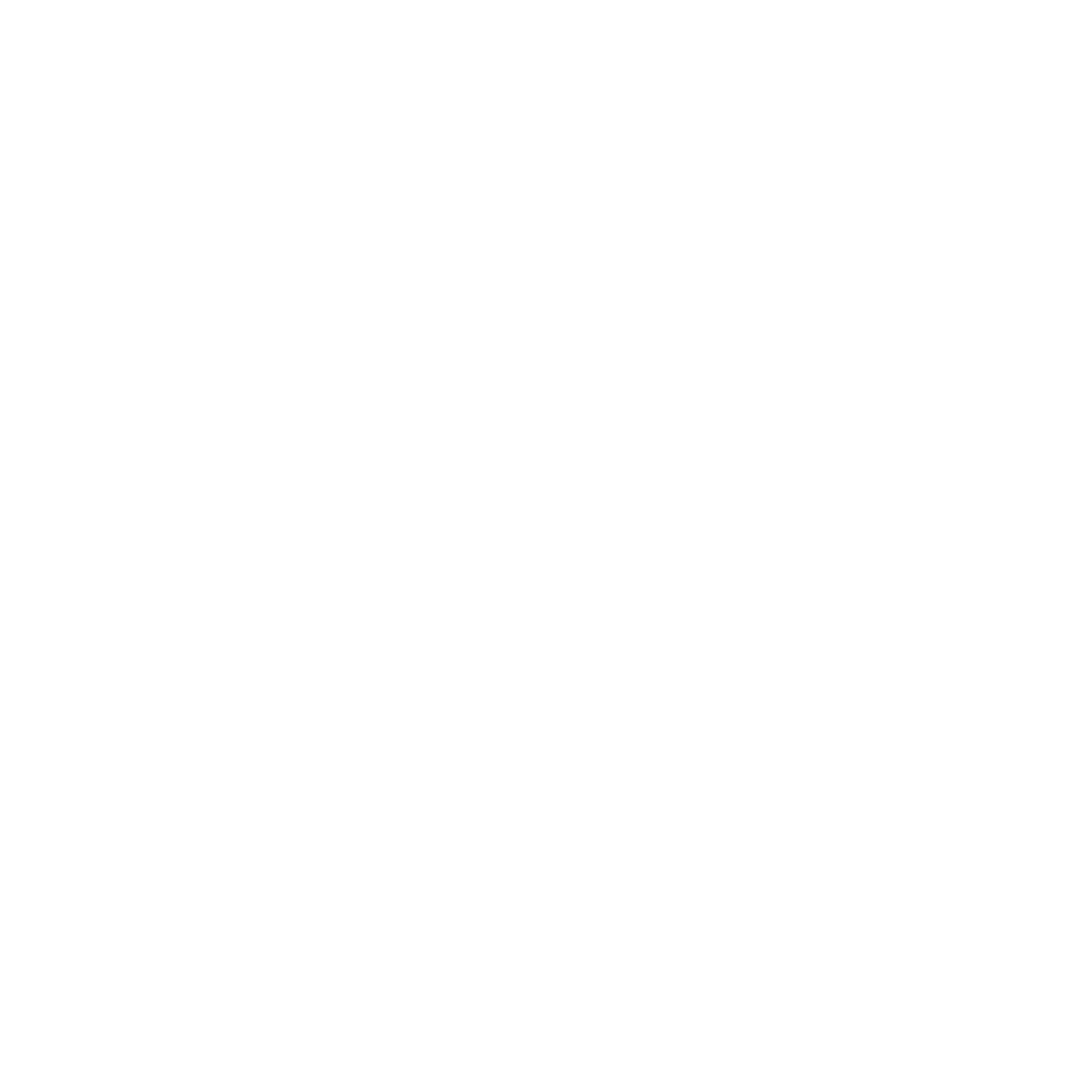Assault Fitness logo