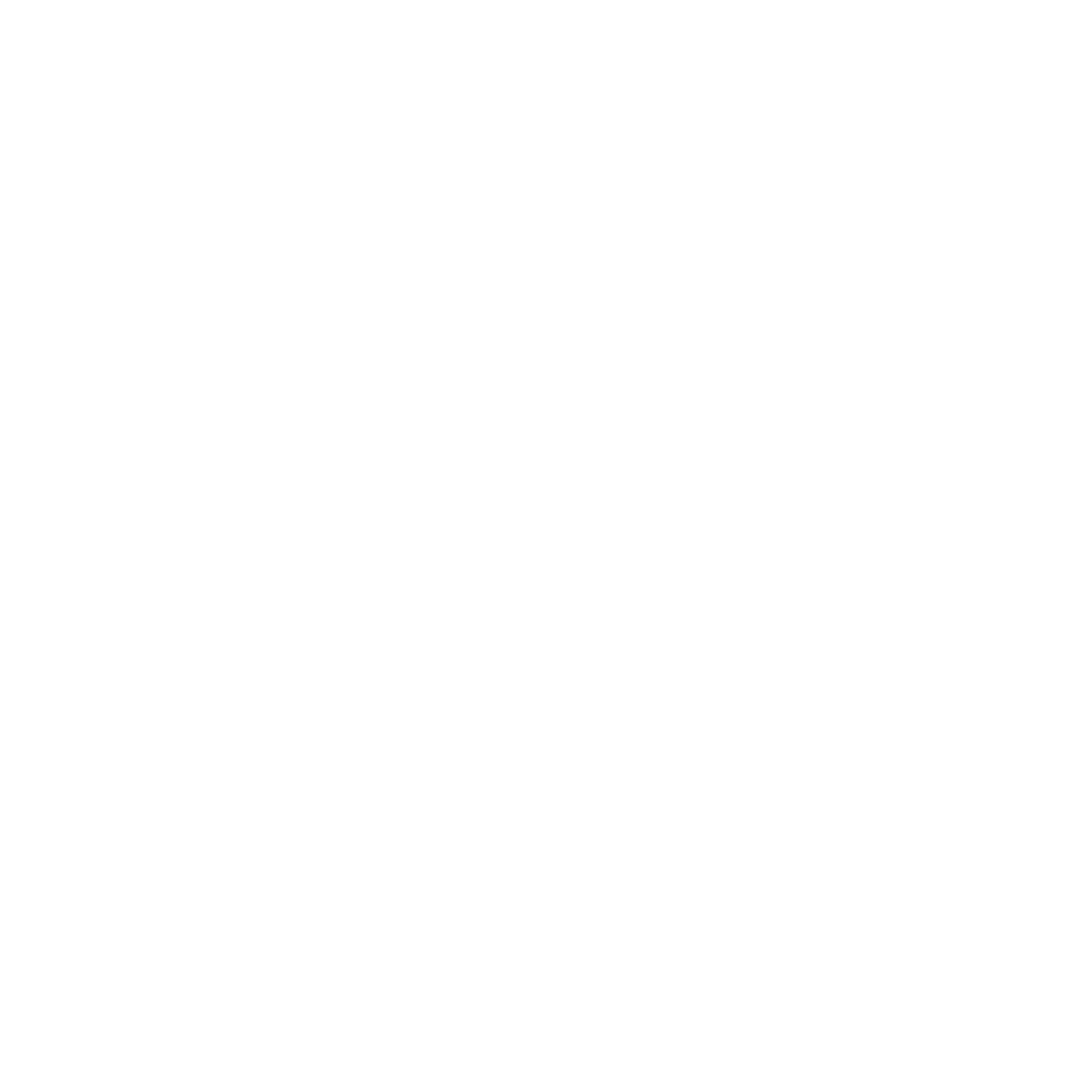 Force USA logo