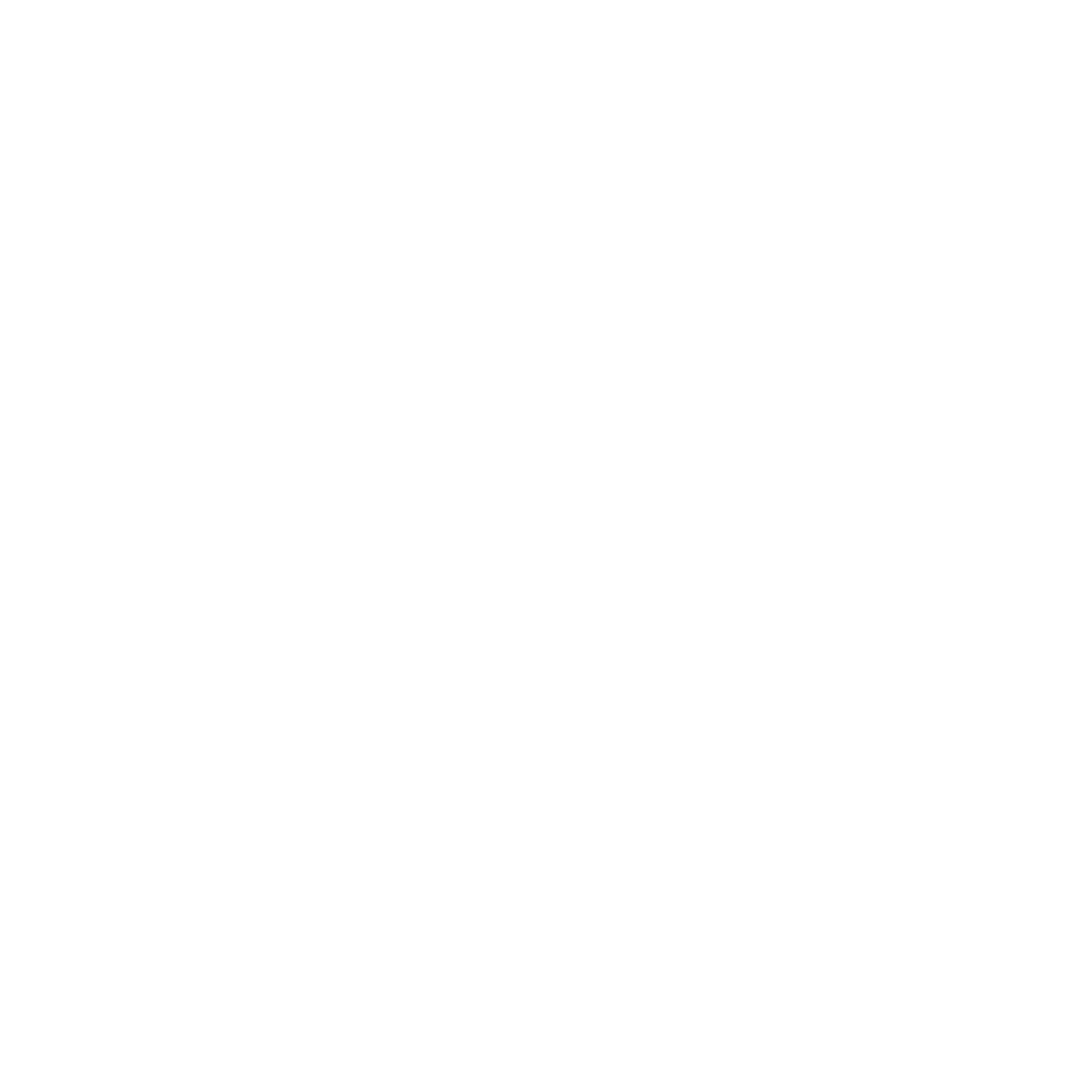 Spirit Fitness logo