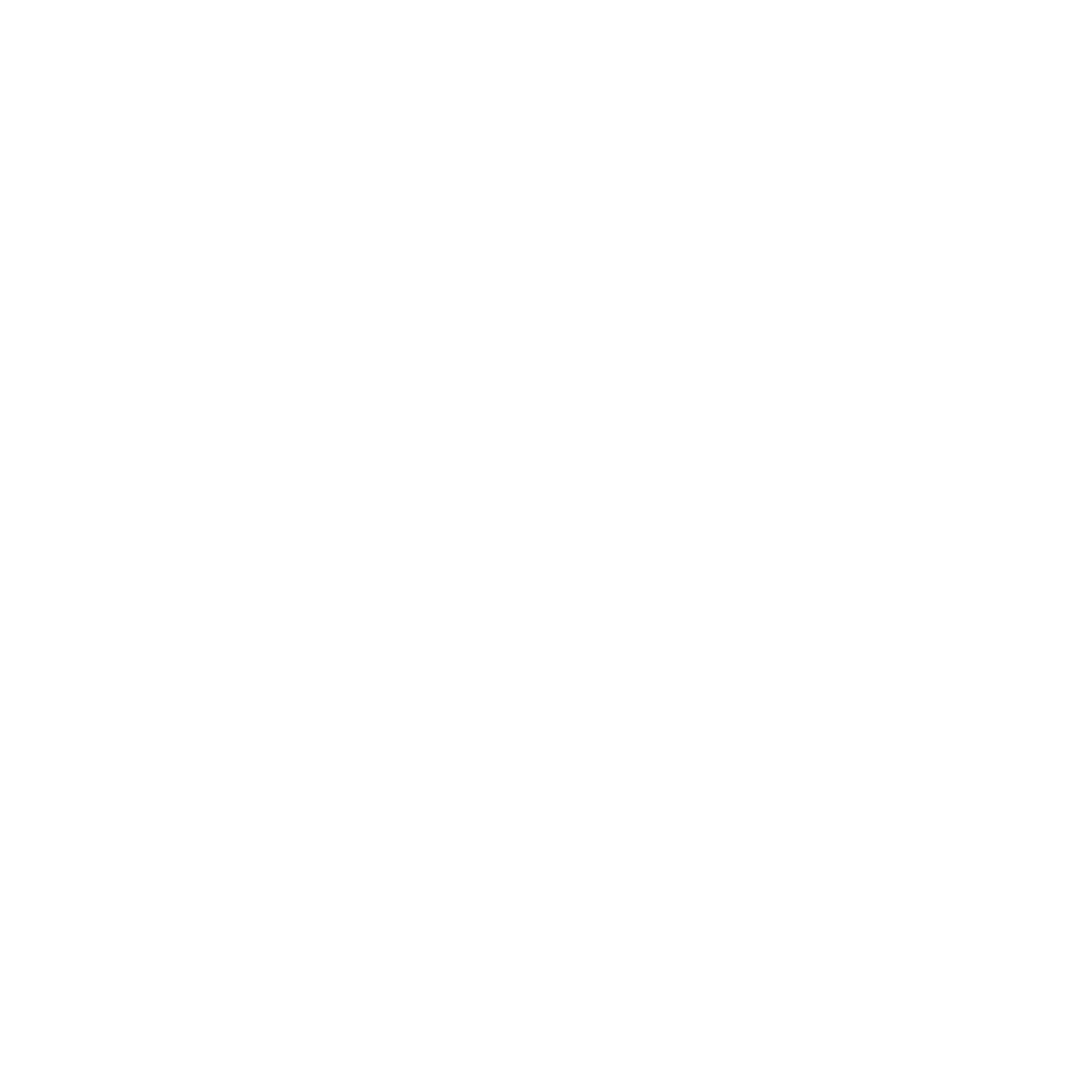 Texas Strength Systems logo